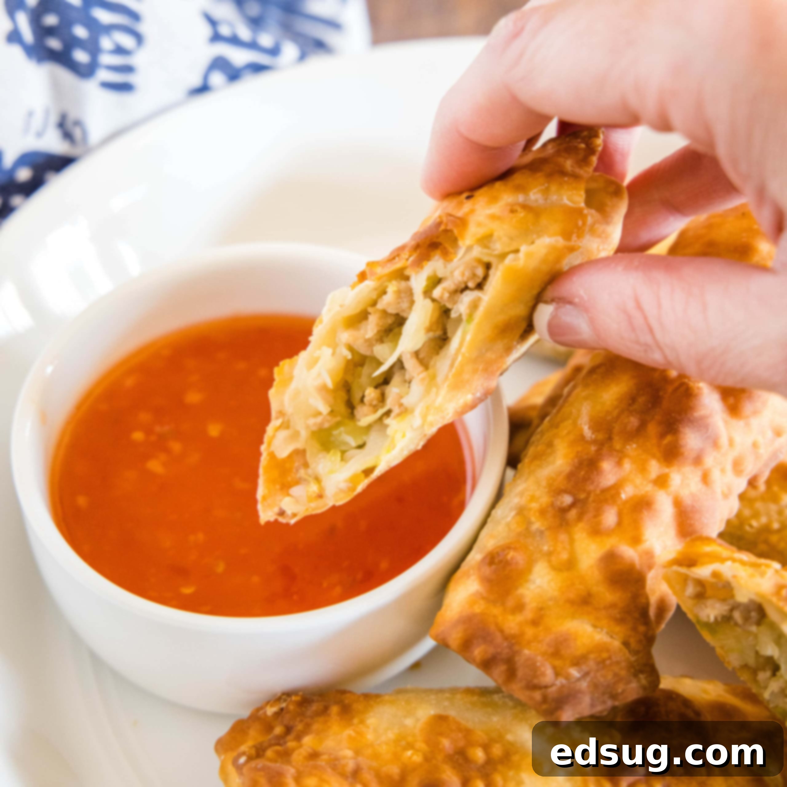 Homemade Asian Outshining the Takeout 21 close up of cut egg roll being dipped in sauce