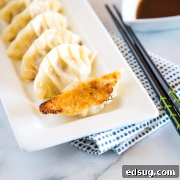 Homemade Asian Outshining the Takeout 22 japanese pork drumplings on a plate