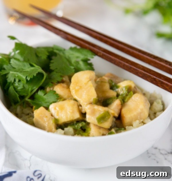 Homemade Asian Outshining the Takeout 27 bowl of chicken curry with cilantro