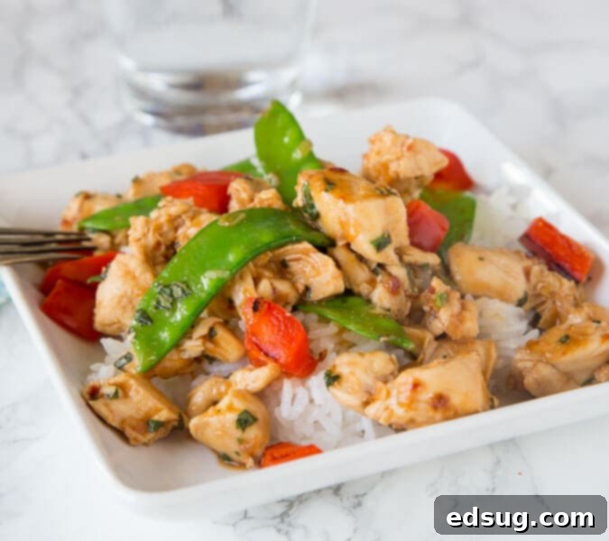 Homemade Asian Outshining the Takeout 33 Spicy Basil Chicken - get dinner on the table in just minutes with the super easy chicken recipe. Great Asian flavors with just a little kick. Add veggies to make it a complete meal!