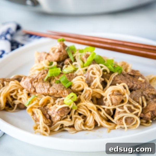Homemade Asian Outshining the Takeout 8 pork lo mein on a plate