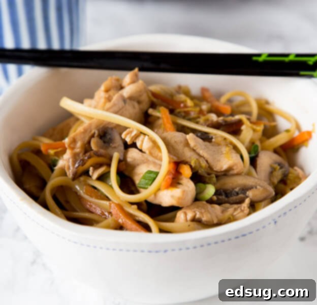 Homemade Asian Outshining the Takeout 9 Chicken Lo Mein - make your own take out at home with this super easy Chinese chicken lo mein recipe. Full of lots of veggies, 20 minutes, and dinner is done!