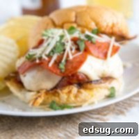 Pepperoni Pizzaburger 7 Pepperoni Pizza Burger on a plate with potato chips, illustrating the final dish.