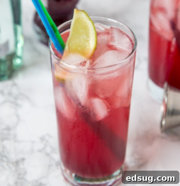 Pomegranate Gin and Tonic with lime and pomegranate seeds