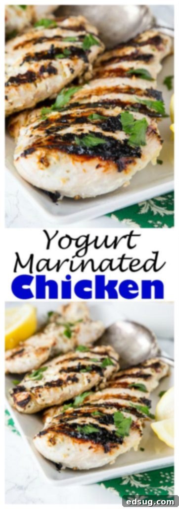 Perfectly Tender Yogurt Chicken 6 A close-up vertical shot of grilled chicken breasts, juicy and perfectly cooked, with lemon.