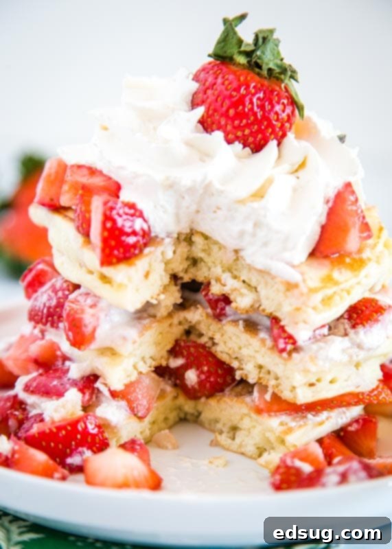 Dreamy Strawberry Shortcake Pancakes 4 Light and fluffy pancakes with homemade whipped cream and fresh juicy strawberries, ready to be devoured.