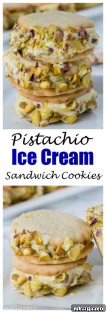 A close-up view of a single pistachio ice cream sandwich cookie, highlighting the texture of the sugar cookie and the pistachio-coated ice cream