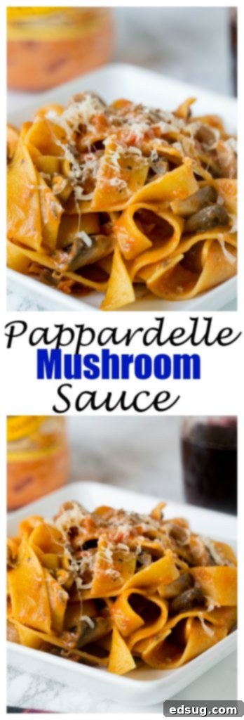 Earthy Mushroom Pappardelle 5 A plate of pasta with a mushroom tomato sauce