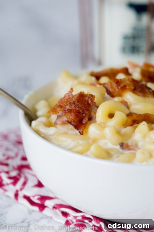A close up of a plate of food, with Macaroni and Macaroni and cheese