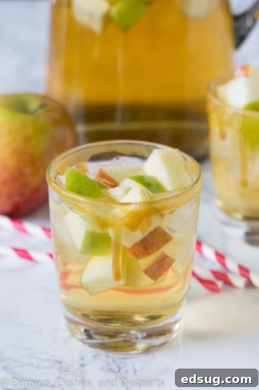 A close up of a glass cup on a table, with Sangria and Apple cider