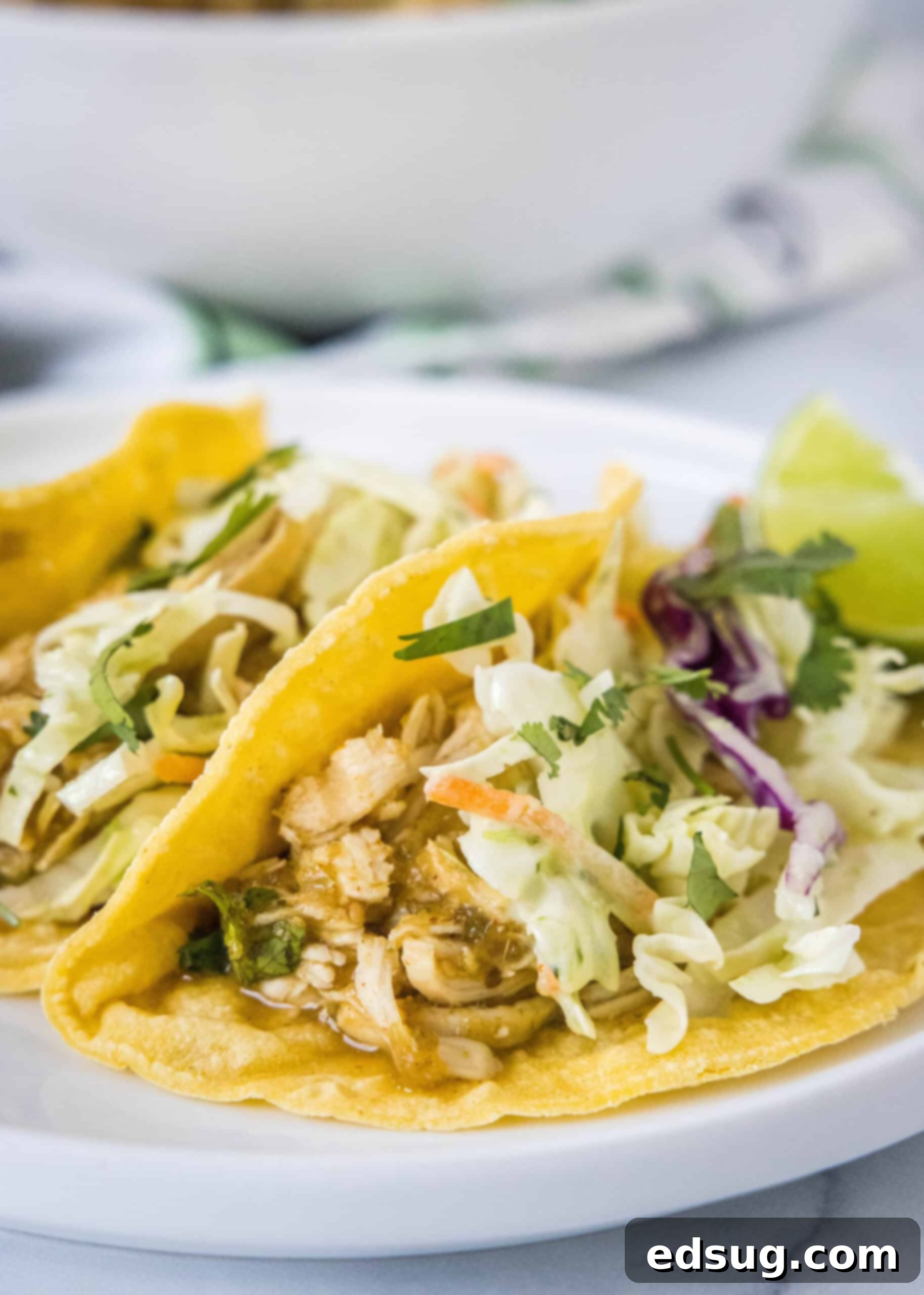 Learn how to cook juicy, flavorful salsa verde chicken in the Instant Pot with just two ingredients, a few spices, and 30 minutes! Two vibrant salsa verde chicken tacos garnished with fresh cilantro on a white plate, showcasing a delicious weeknight meal.