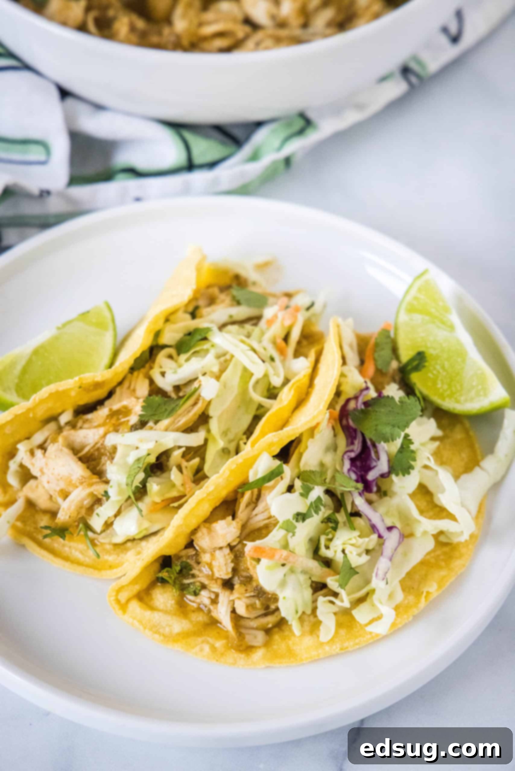 Learn how to cook juicy, flavorful salsa verde chicken in the Instant Pot with just two ingredients, a few spices, and 30 minutes! A top-down view of two beautifully arranged salsa verde chicken tacos on a pristine white plate, garnished and ready to eat.