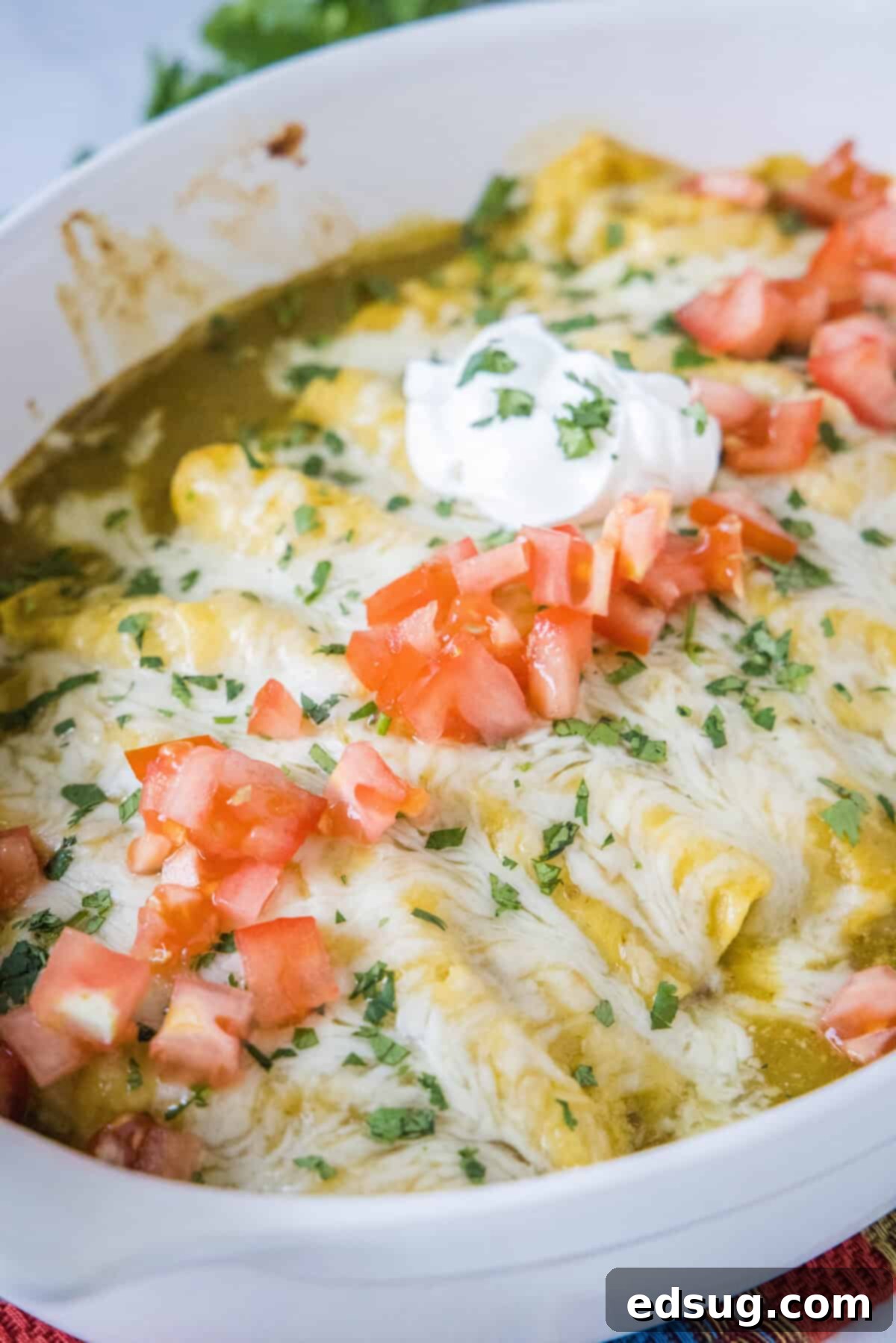 Zesty Green Chile Chicken Enchiladas 2 a pan of green chile chicken enchiladas
