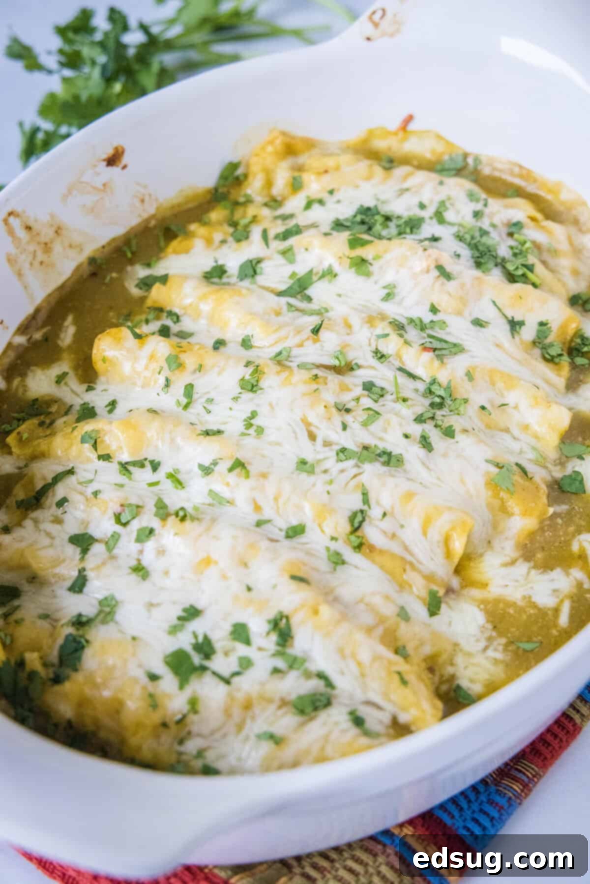 Zesty Green Chile Chicken Enchiladas 4 green chile chicken enchiladas in baking dish