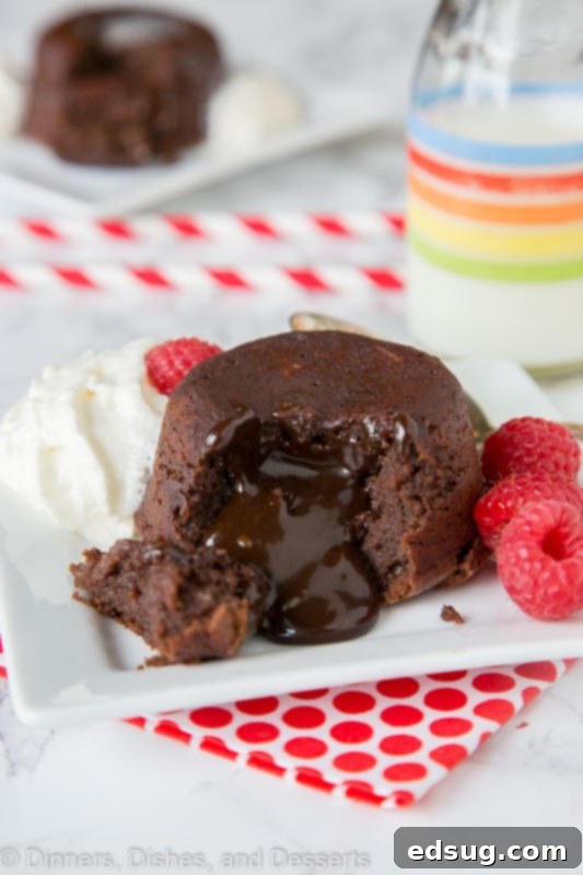 Decadent Chocolate Lava Cakes for Two 2 Rich chocolate lava cake with a molten center, dusted with powdered sugar