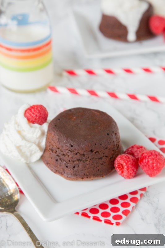 Decadent Chocolate Lava Cakes for Two 3 Two perfectly baked individual chocolate lava cakes, ready to be served