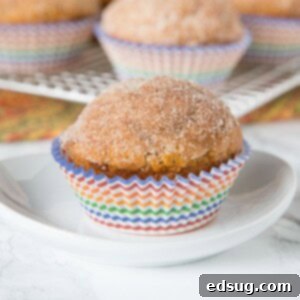 A single cinnamon pumpkin muffin, perfect for a fall breakfast.
