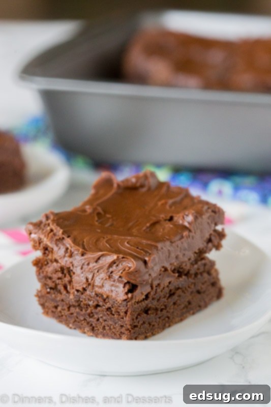 From scratch brownies that are fudgy, chocolatey, and delicious