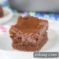 Easy Homemade Brownies Recipe - an easy one bowl brownie recipe that are super fudgy, chocolately, and delicious! 