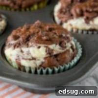 Double Chocolate Cheesecake Muffins - Rich, chocolate muffins with a layer of sweetened cream cheese for a light and tender breakfast or even dessert. 