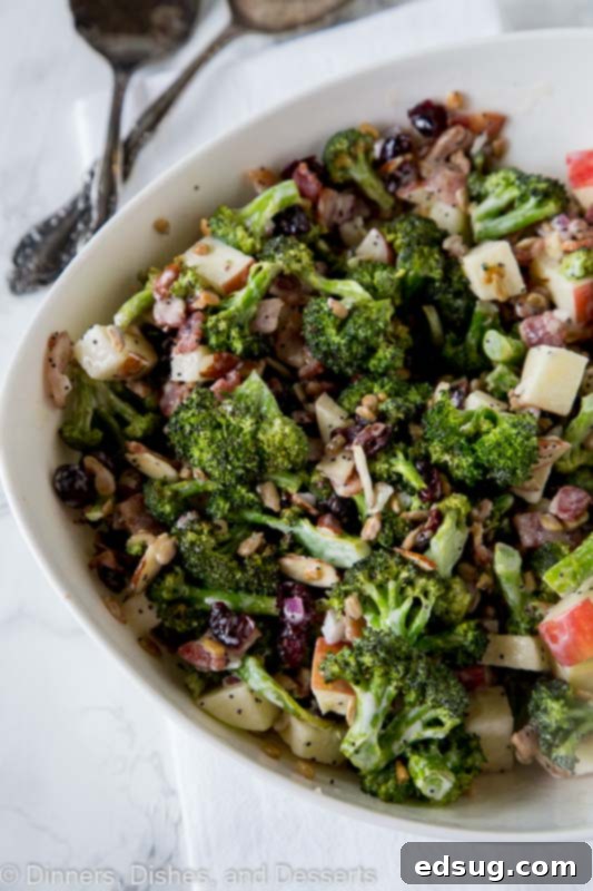Refreshing Apple Broccoli Salad 3 Broccoli salad with bacon - an easy broccoli salad recipe for the fall