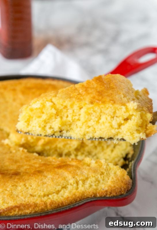 Your New Favorite Cornbread Recipe 2 Best Cornbread Recipe- a sweet cornbread recipe that you can make in a skillet, a baking dish or even in a muffin tin. Stop searching, this will become your go to corn bread!
