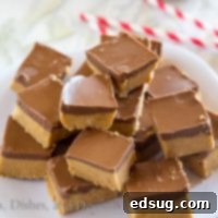 reeses fudge on a plate