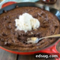 Triple Chocolate Brownie Skillet - warm, gooey, and lots of chocolate! {Dinners, Dishes, & Desserts}