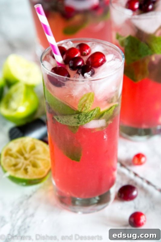 Sparkling Cranberry Mojito 2 A refreshing Cranberry Mojito, elegantly garnished with fresh mint leaves, lime slices, and whole cranberries, ready for holiday celebrations.