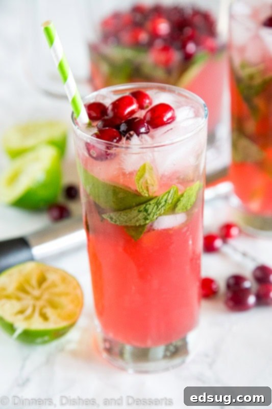 Sparkling Cranberry Mojito 4 A selection of fresh ingredients for Cranberry Mojito, including vibrant mint, bright limes, glossy rum bottle, and a pitcher of cranberry juice, all set for cocktail making.