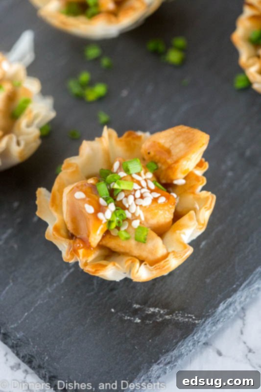 Sticky Hoisin Chicken Lettuce Wraps 4 Hoisin Glazed Chicken Cups - put an Asian twist on your holiday appetizers!