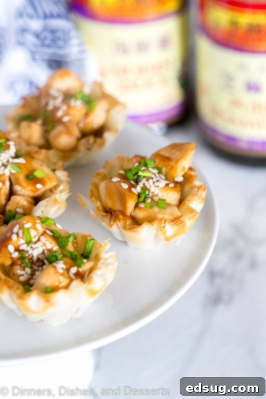 Sticky Hoisin Chicken Lettuce Wraps 5 Hoisin Glazed Chicken Cups are perfect for entertaining. Easy to make, and absolutely irresistible on the holiday buffet!