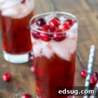 Holiday Sparkle Spritzer 6 A close up of a glass red wine seltzer