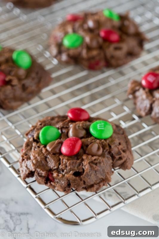 Double Chocolate Dream Cookies 2 Super soft and tender double chocolate chip cookies with three kinds of chocolate for an extra delicious, melt-in-your-mouth experience.