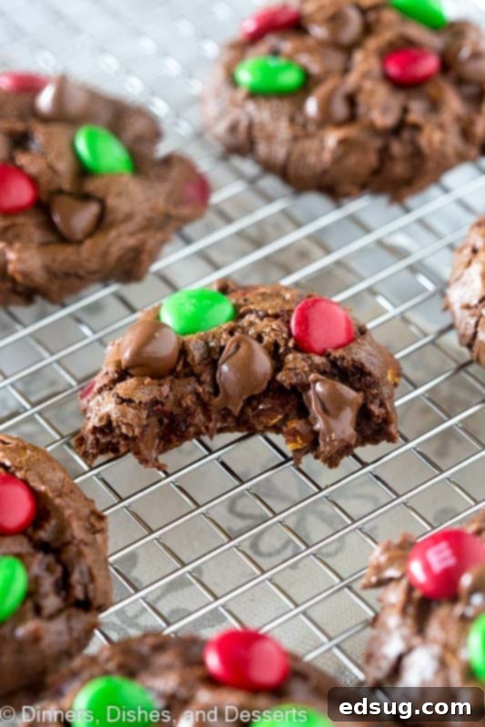 Double Chocolate Dream Cookies 4 Triple chocolate chip cookies that literally melt in your mouth, made with semi-sweet, milk chocolate, and M&Ms.