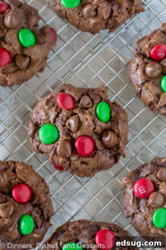 Double Chocolate Dream Cookies 5 Irresistibly soft and tender double chocolate chip cookies, made with three types of chocolate for ultimate flavor and a melt-in-your-mouth texture.