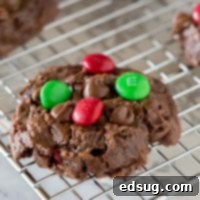 Double Chocolate Dream Cookies 7 Soft Double Chocolate Chip Cookies – super soft and tender chocolate cookies that will literally melt in your mouth. 3 kinds of chocolate to make them extra delicious!