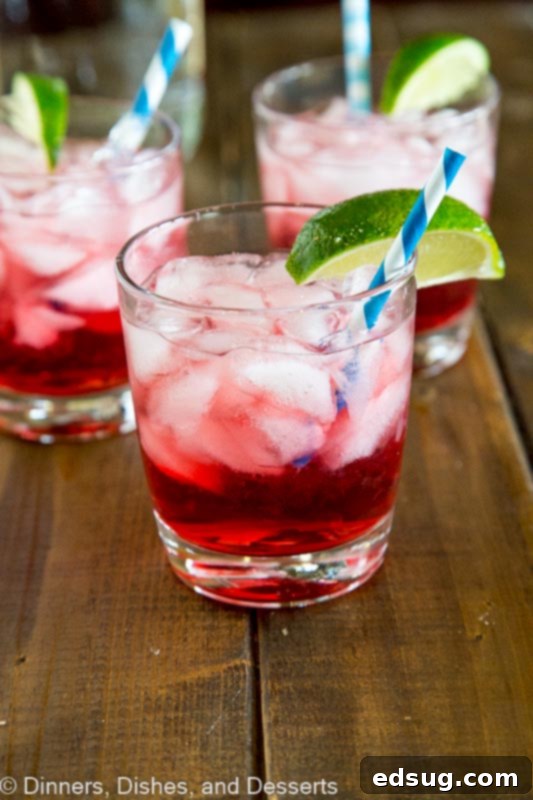 A refreshing Vodka Cranberry cocktail with lime garnish, perfect for any occasion.