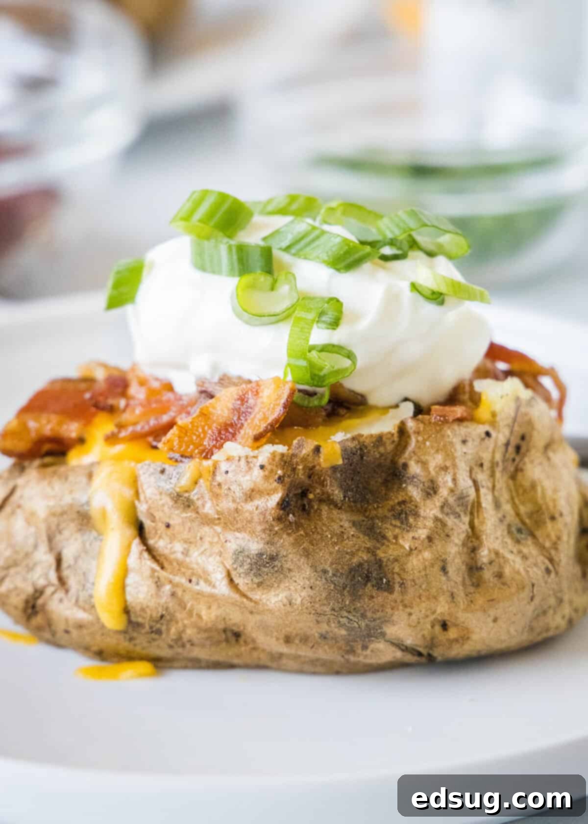 Ultimate Loaded Baked Potatoes 2 loaded baked potato on a white plate