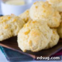 Easy Biscuit Recipe - these are the perfect homemade biscuits. Light, fluffy, tender, buttery, and delicious. Make in minutes any night of the week. 