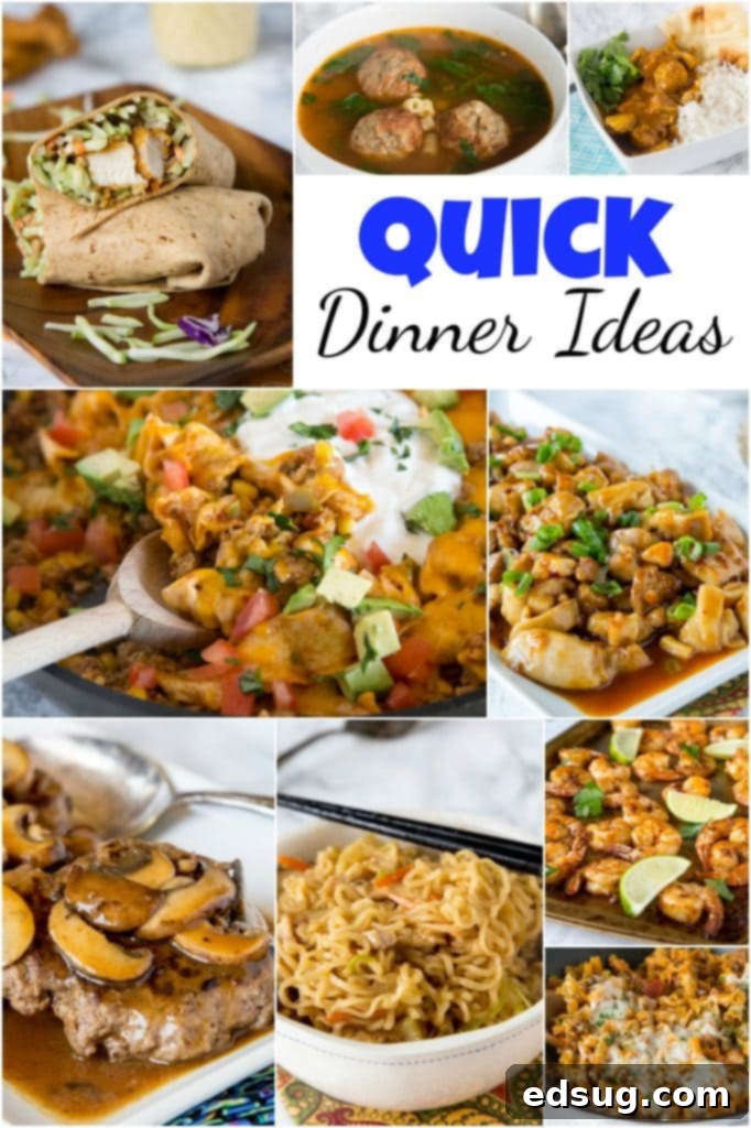 A vibrant collection of quick dinner ideas, showing various delicious meals ready in 15-30 minutes, perfect for busy weeknights.