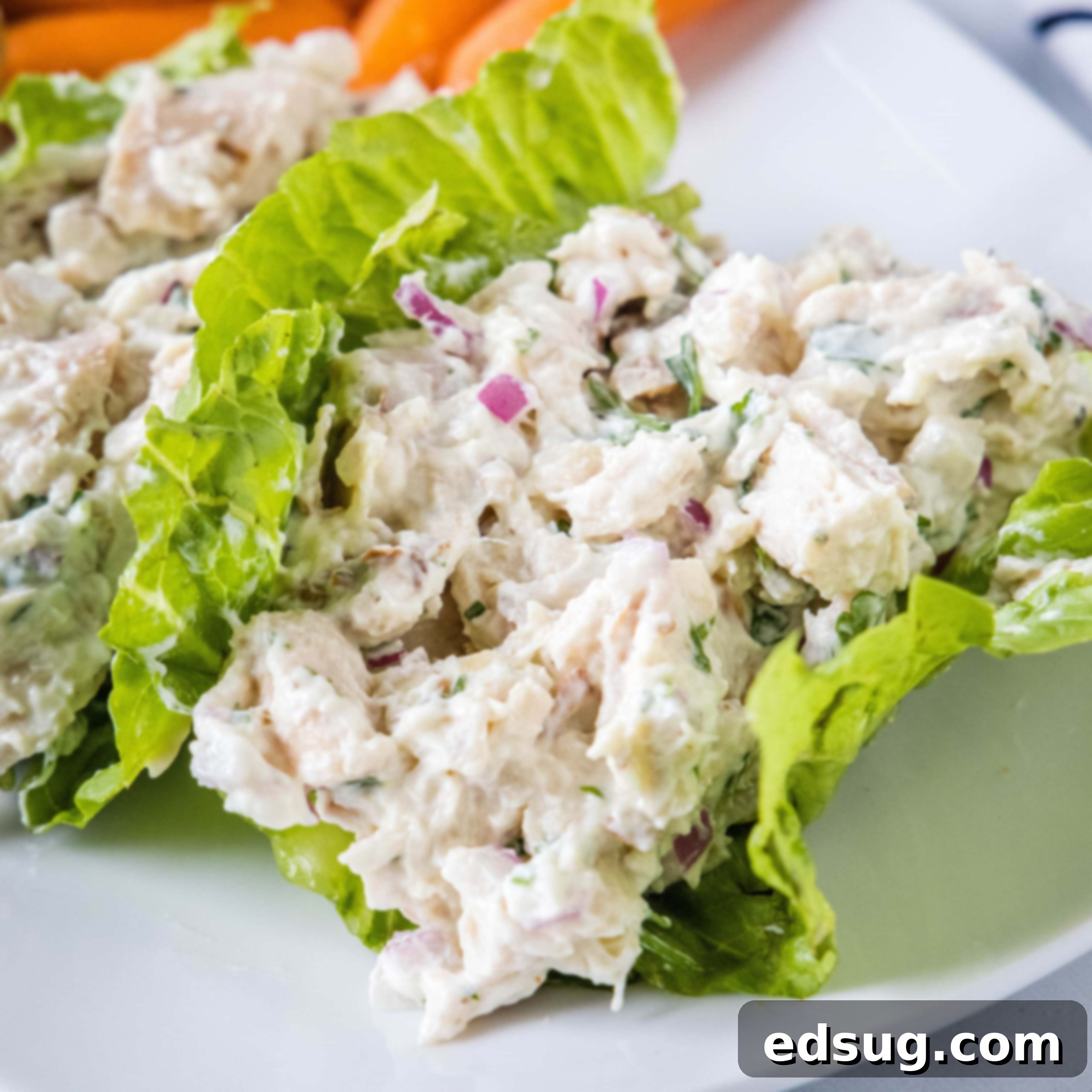 Close-up of a refreshing Healthy Chicken Salad served in crisp lettuce cups on a white plate.