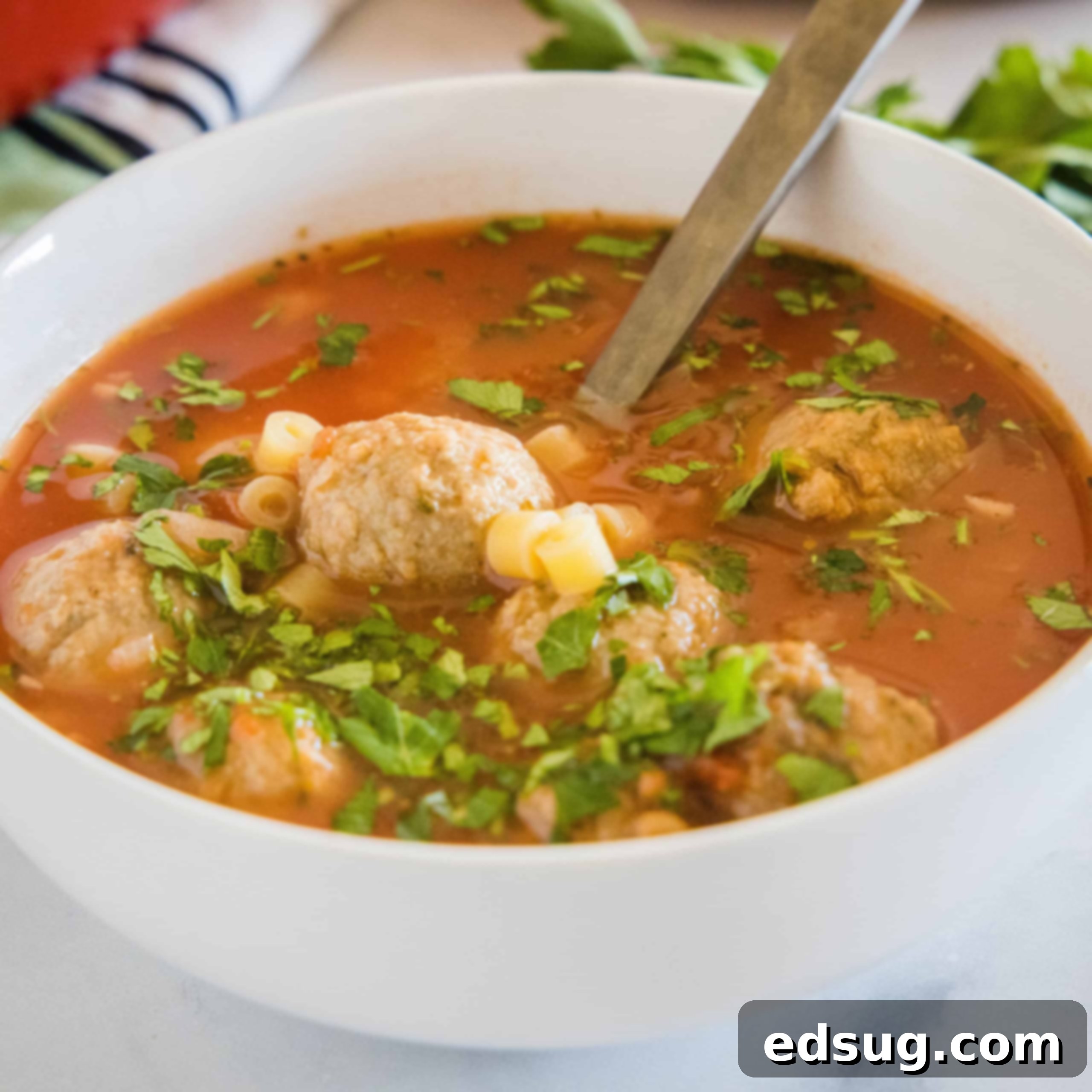 Close-up of a steaming bowl of Italian Meatball Soup, featuring tender meatballs and ditalini pasta.