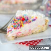 Celebration Funfetti Cheesecake Pie 6 A close up of a piece of Funfetti Cheesecake Pie on a plate, showcasing its creamy texture and sprinkles.