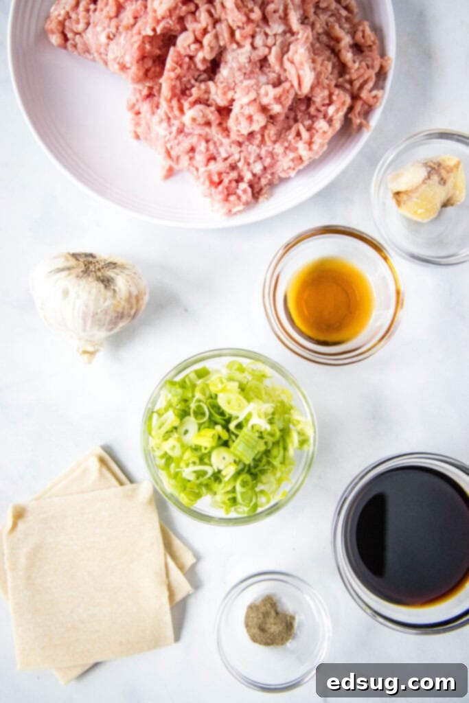 Essential ingredients for homemade pork dumplings laid out on a kitchen counter: ground pork, fresh ginger, garlic, green onions, soy sauce, and wonton wrappers.