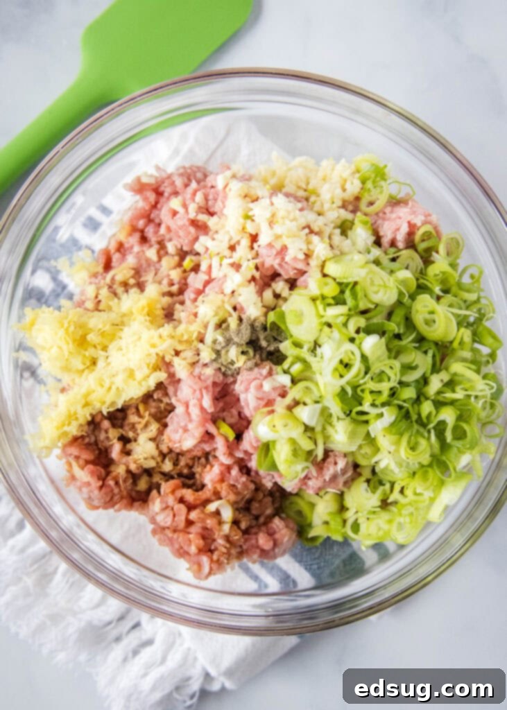 Close-up of a bowl containing ground pork, minced ginger, garlic, and chopped green onions, being mixed by hand for the dumpling filling.