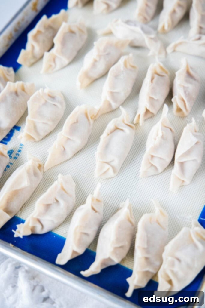 A baking tray filled with uncooked pork dumplings, neatly arranged on parchment paper, ready for steaming or freezing.
