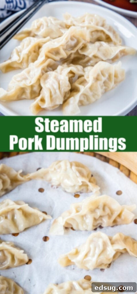 Close-up of three perfectly steamed pork dumplings, showcasing their tender wrappers and savory filling, resting in a bowl.