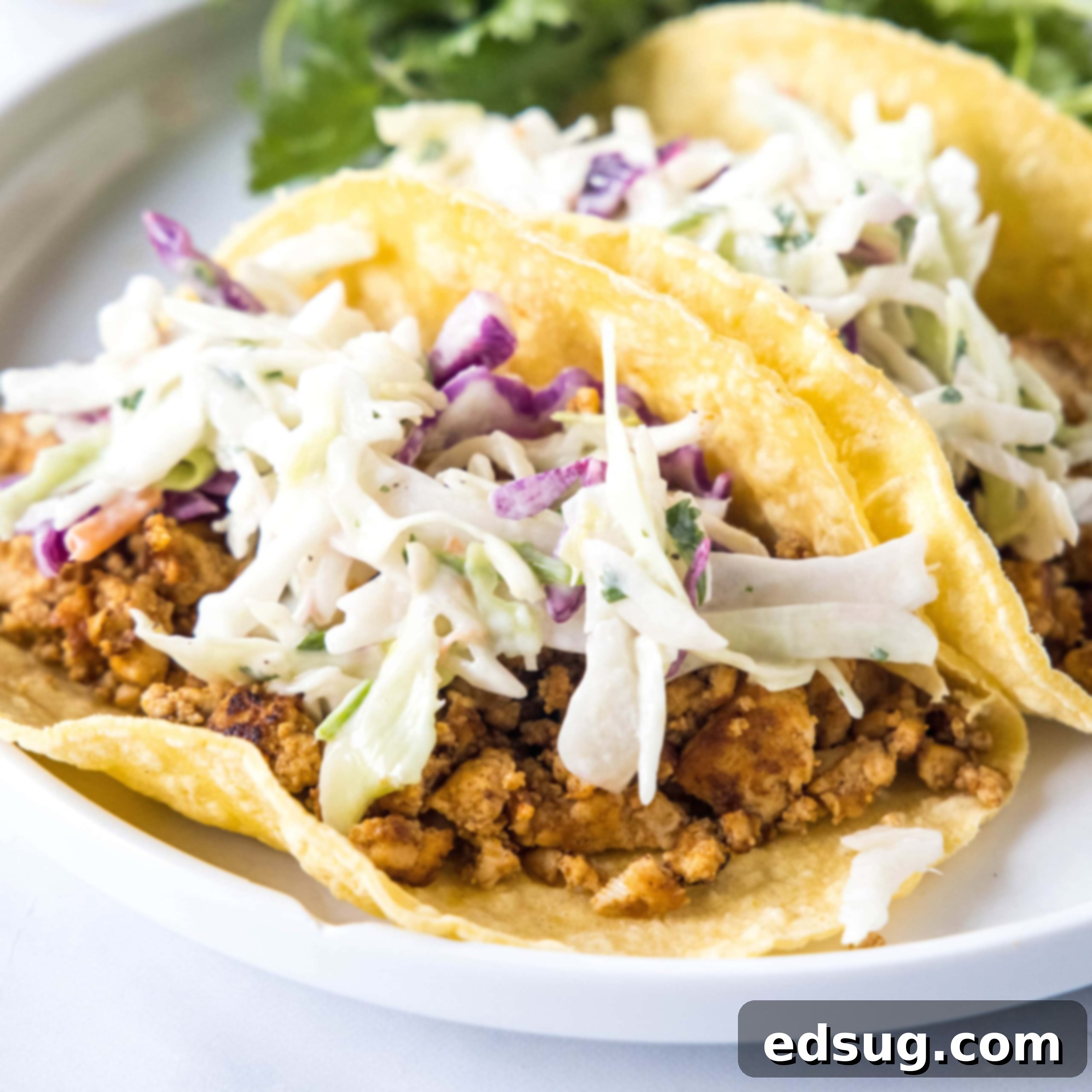 Two tofu tacos topped with Mexican coleslaw and avocado cream on a white plate.