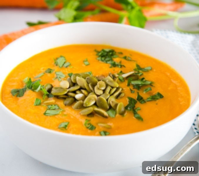 A bowl of soup, with Carrot